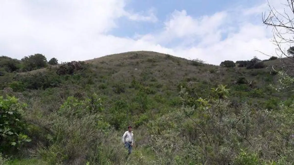 Bosque de La Primavera